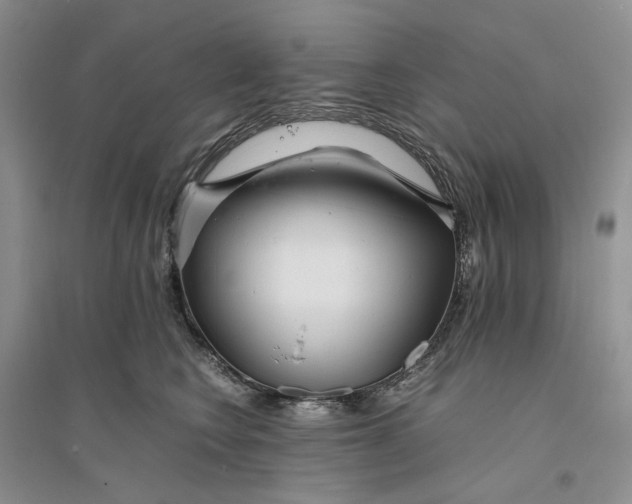 X0000094080566200711091218