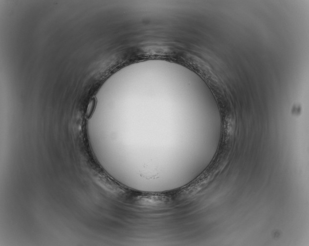 X0000094080567200711091218