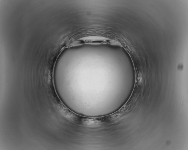 X0000094080568200711091218