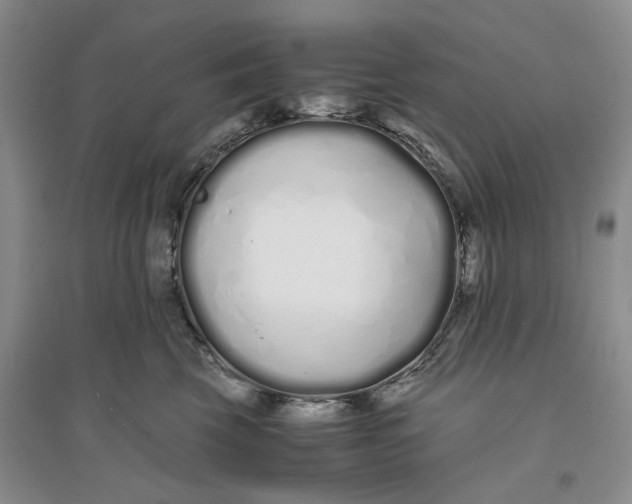 X0000094080569200711091218