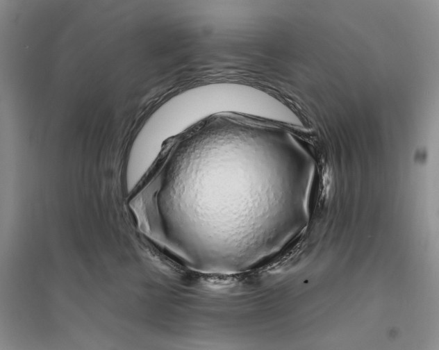 X0000094080570200711091218
