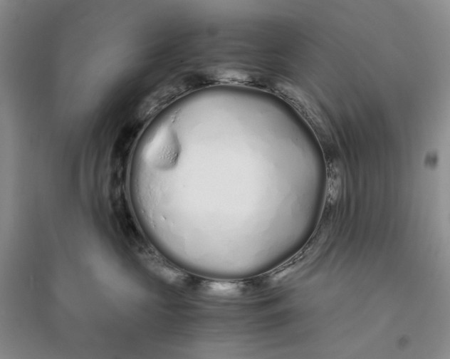X0000094080573200711091218