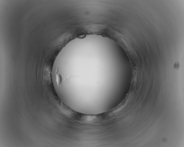 X0000094080575200711091218