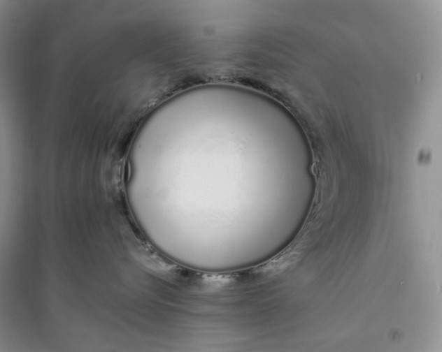 X0000094080576200711091218