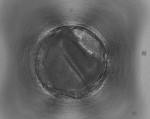 X0000094080577200711091217