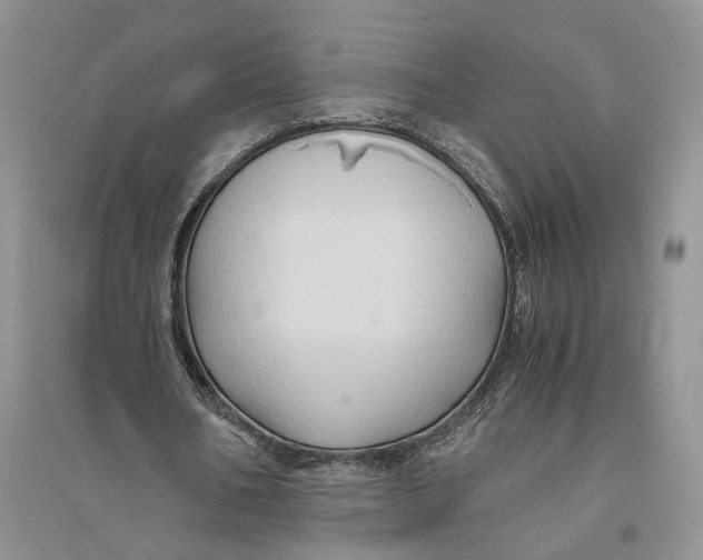 X0000094080578200711091217