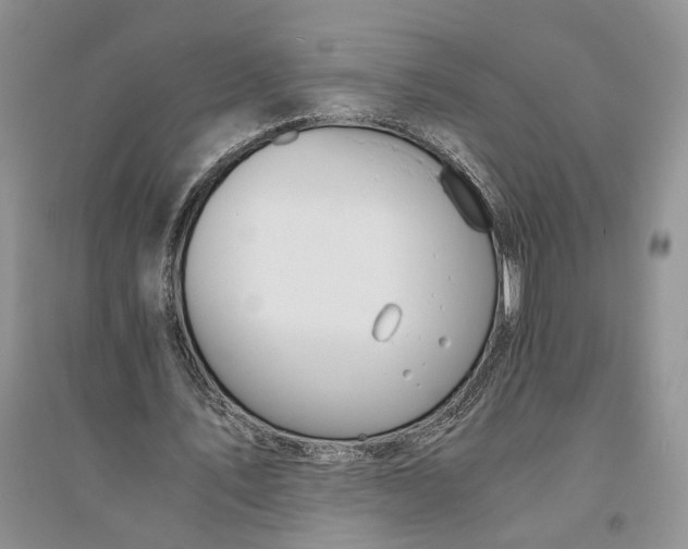 X0000094080579200711091217