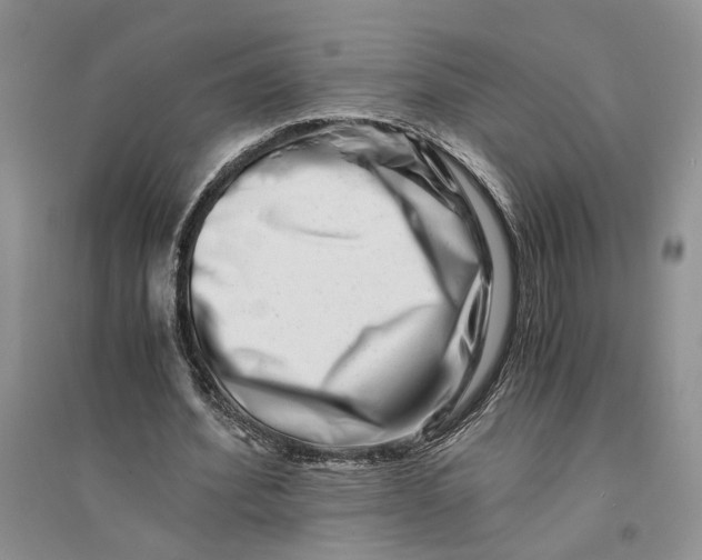 X0000094080580200711091217
