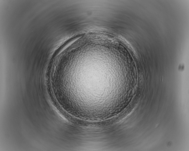 X0000094080581200711091217