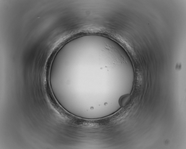 X0000094080582200711091217