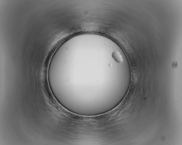 X0000094080583200711091217