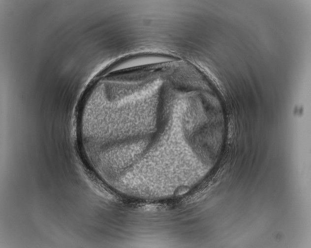 X0000094080584200711091217