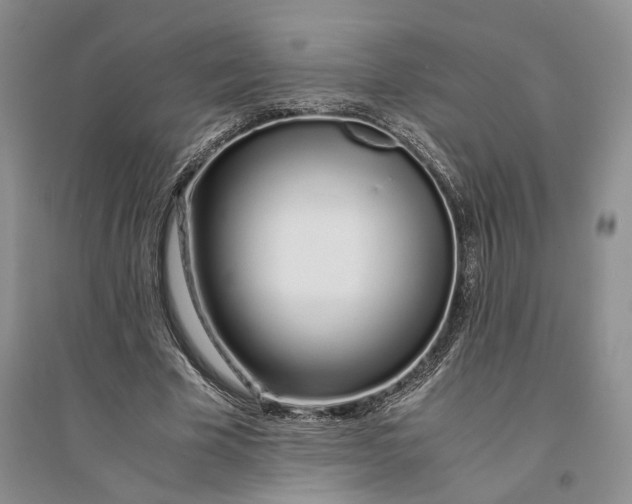 X0000094080585200711091217