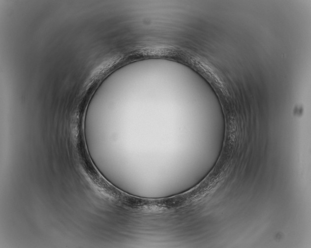 X0000094080586200711091217