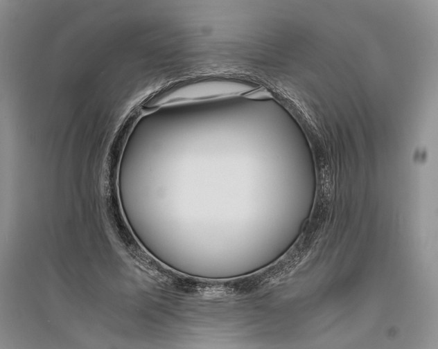 X0000094080587200711091217