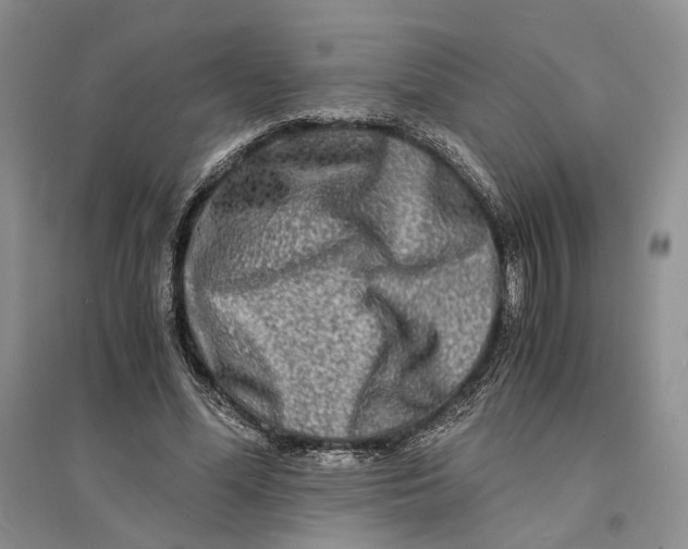 X0000094080588200711091217