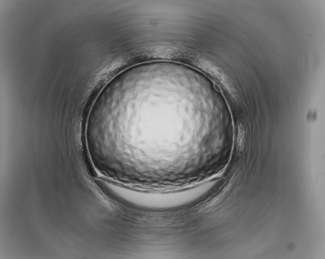 X0000094080589200711091217