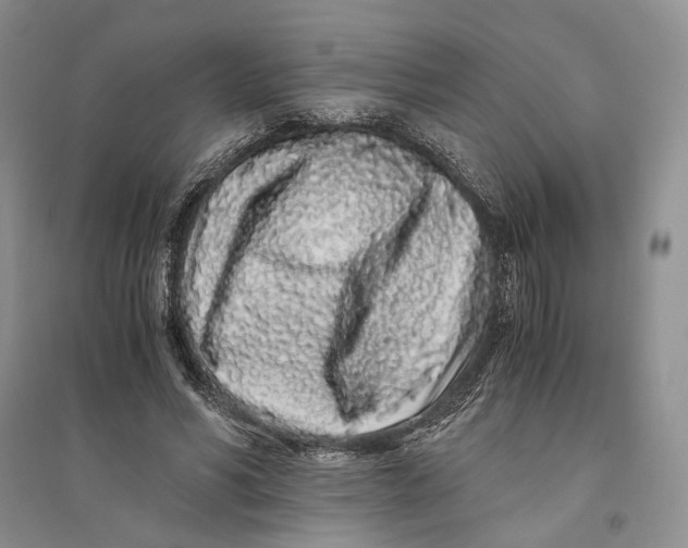 X0000094080590200711091217