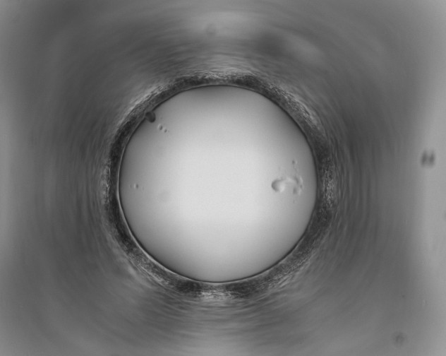 X0000094080591200711091217