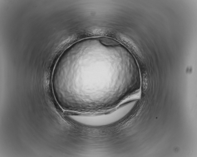 X0000094080593200711091217