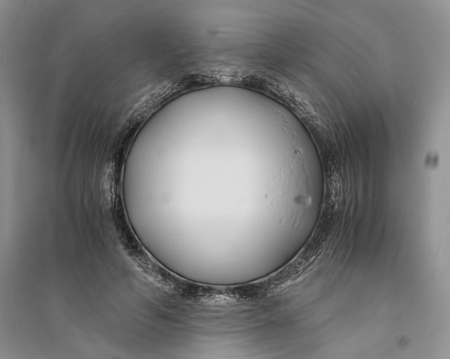 X0000094080594200711091217