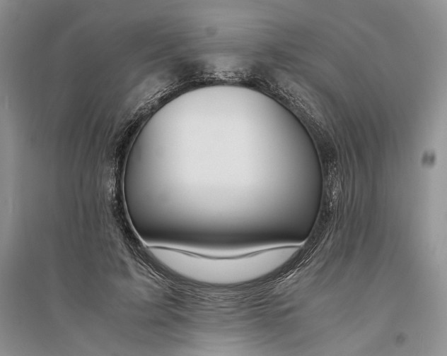 X0000094080595200711091217