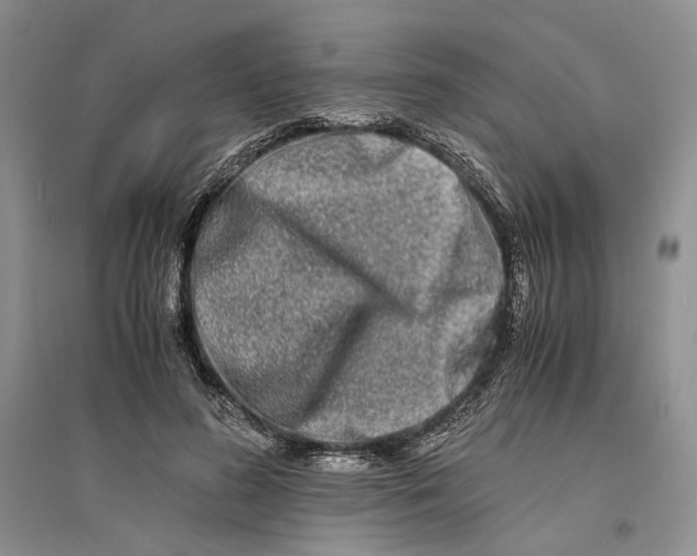 X0000094080596200711091217