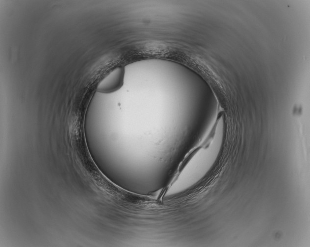 X0000094080597200711091217