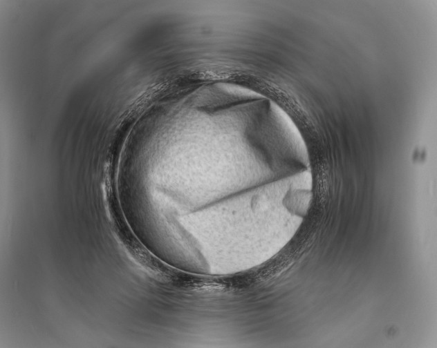 X0000094080598200711091217