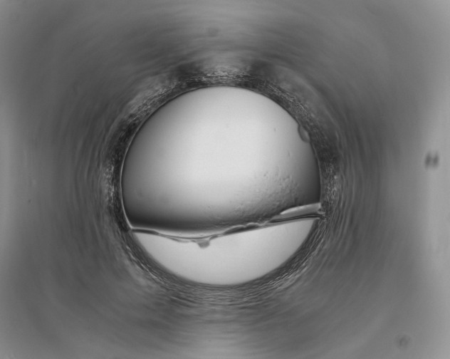 X0000094080599200711091217