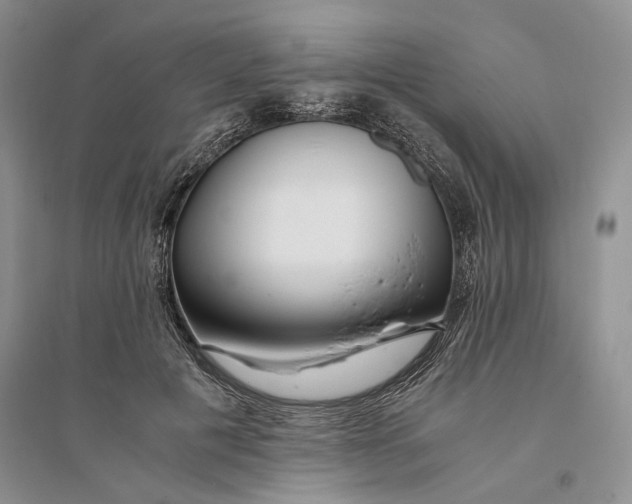 X0000094080601200711091217