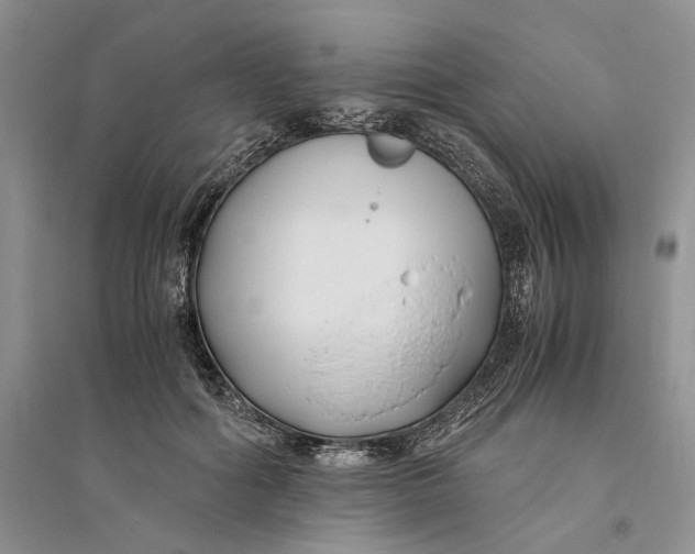 X0000094080602200711091217