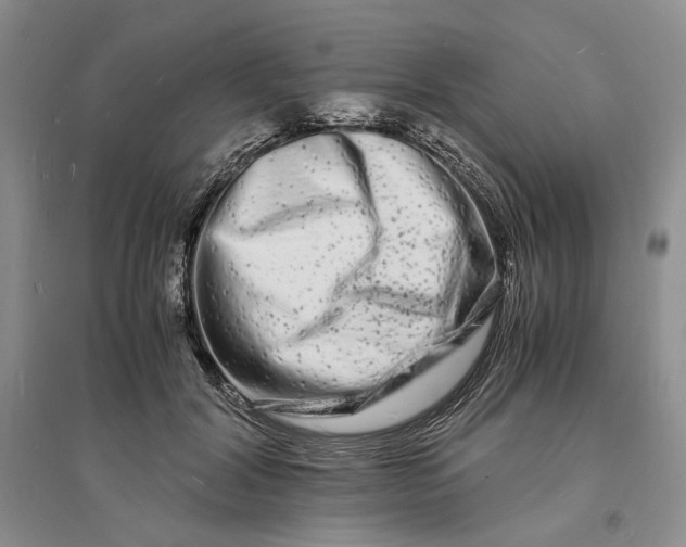 X0000094080604200711091216