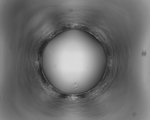 X0000094080607200711091216
