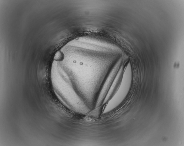 X0000094080608200711091216