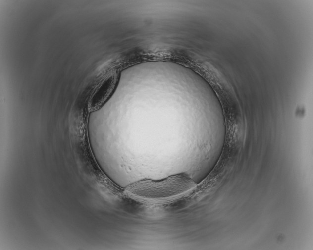 X0000094080609200711091216