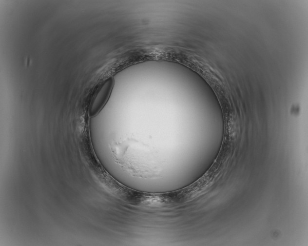 X0000094080611200711091216