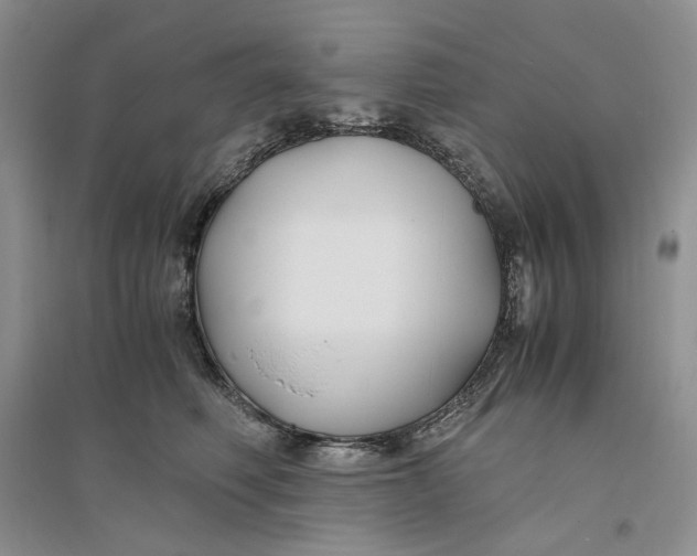 X0000094080614200711091216