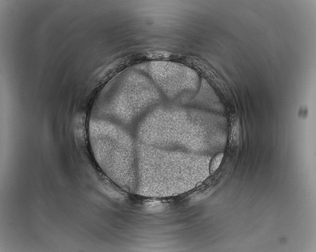 X0000094080616200711091216