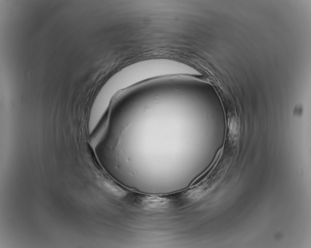 X0000094080617200711091216