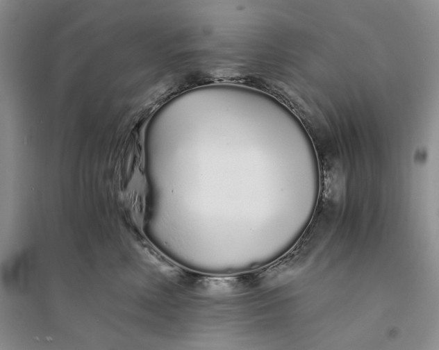 X0000094080618200711091216