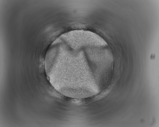 X0000094080624200711091216
