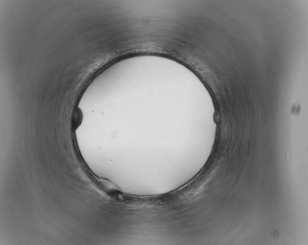 X0000094080625200711091215