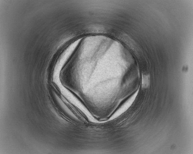 X0000094080627200711091215