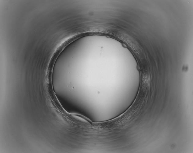 X0000094080628200711091215