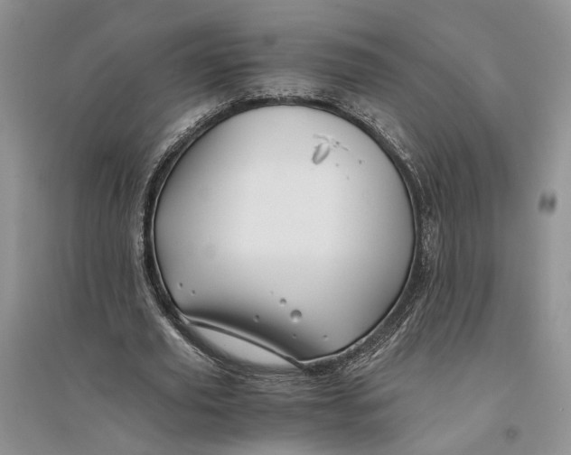 X0000094080629200711091215