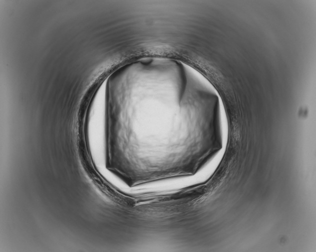 X0000094080630200711091215