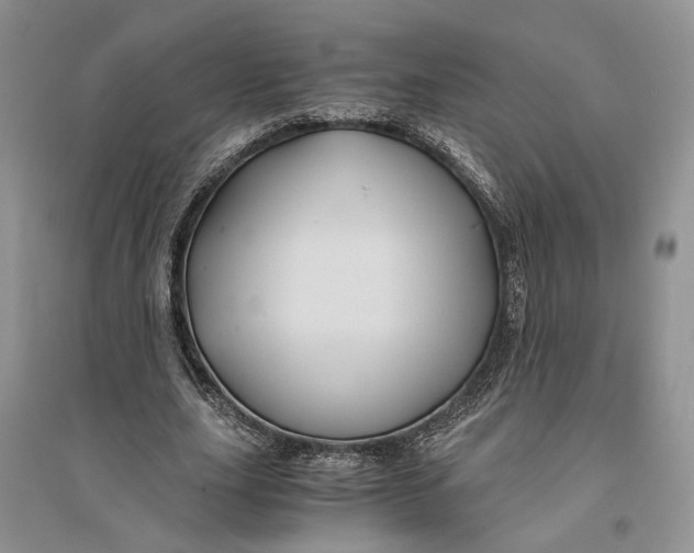 X0000094080631200711091215