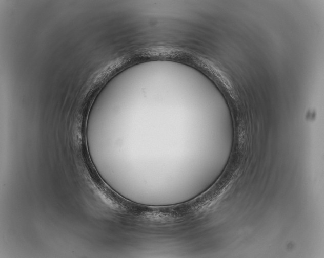 X0000094080633200711091215