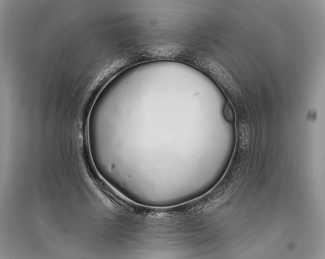 X0000094080634200711091216